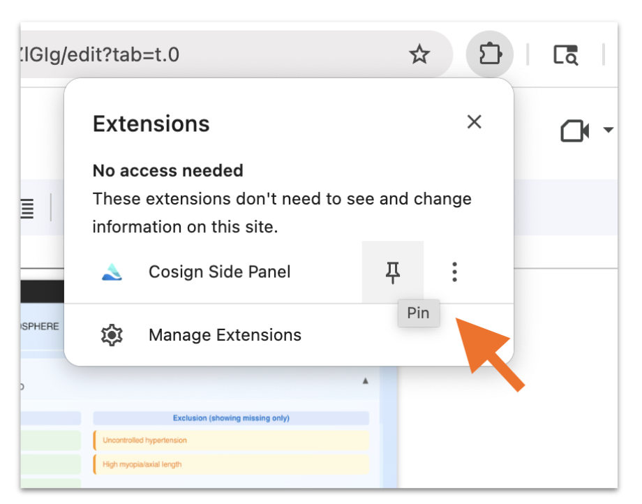 Pin Chrome Extension
